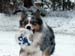 Jan 23rd Gösta says let's play icefootball6