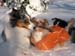 23rd january, Gösta and Thyra1