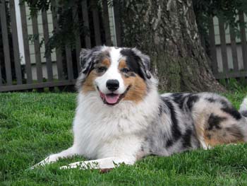 10.07 Albin at 12 months