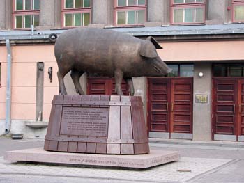 12.07 Tartu, Estonia - a local pig