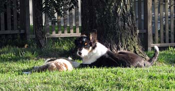 19.07 Edith and Fasu3