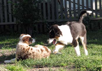 19.07 Edith and Fasu4