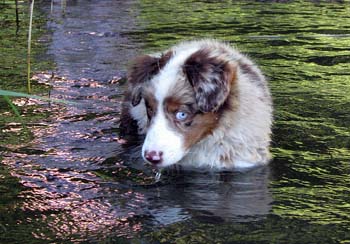 23.07 Edith's first swim