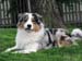 10.07 Albin at 12 months1