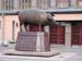 12.07 Tartu, Estonia - a local pig