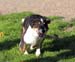 19.07 Fasu, Drover's Friggn Fabulous