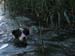 23.07 Edith's first swim3