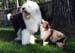 Edith 3 months and Sampo 6 months