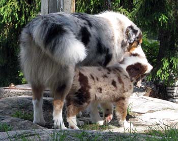 Albin and Edith1