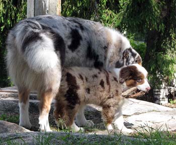 Albin and Edith3