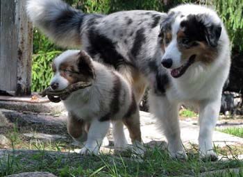 Albin and Edith6