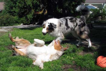 Albin and Thyra1