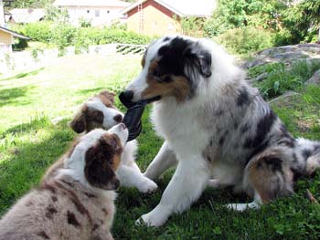 Danka,Edith and Albin2