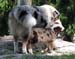 Albin and Edith1