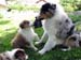 Danka,Edith and Albin