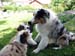 Danka,Edith and Albin2