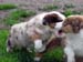 Edith and Danka4