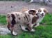 Edith and Danka5