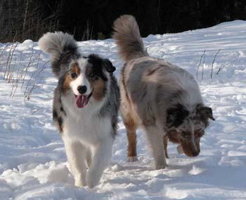 March 7th Albin and Thyra