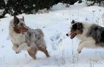 March 7th Thyra and Albin