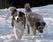 March 7th Albin and Thyra