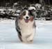 March 7th Albin