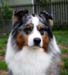 Gösta at 6 years1