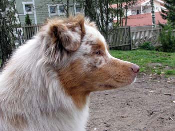 Thyra's profile 23.09