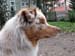 Thyra's profile 23.09
