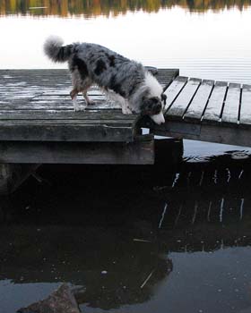 30.09 Hirsala, Albin wonders who's that h'some guy looking back from the water1