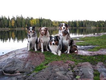 30.09 Hirsala, the gang sitting pretty by the sea