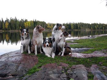 30.09 Hirsala, the gang sitting pretty by the sea1