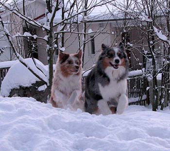 December 22nd Pinja and Thyra