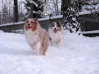 December 22nd Thyra and Albin showing happy faces