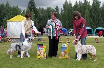 BOS Sentikki Skyline and BOB CH Drover's Crown Jewel2