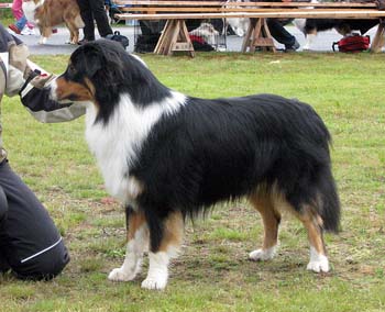 intermediate males EXC2 res.CAC Stargates Quest for Bywater2