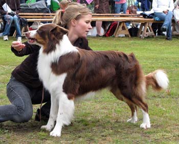 intermediate males EXC3 Kia-Rina Bearheart1