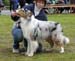 intermediate males EXC1 CAC best male BOS Sentikki Skyline