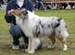 intermediate males EXC1 CAC best male BOS Sentikki Skyline1