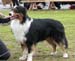 intermediate males EXC2 res.CAC Stargates Quest for Bywater1