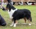 intermediate males EXC2 res.CAC Stargates Quest for Bywater2