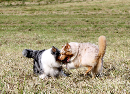 August 22nd - Gösta and Thyra2
