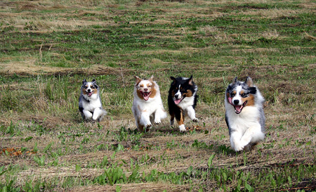 August 22nd - the gang showing aussie grin as its best