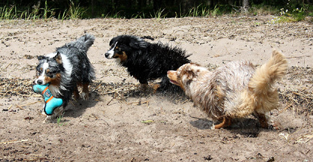 July 7th - beach party at Störsvik2