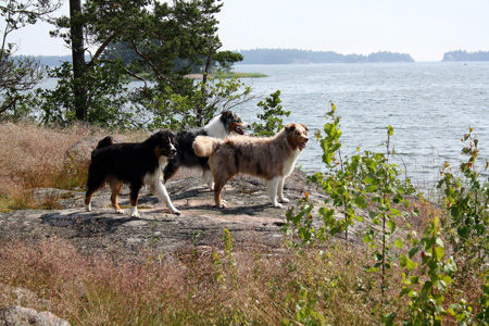 July 7th - beautiful view at Störsvik