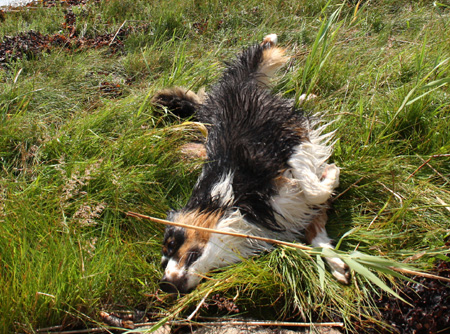 July 7th - getting dry after a swim3