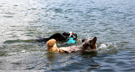 July 8th - Hjördis and Gösta picking up the toy. Looks like Thyra doesn't want any water on her face