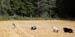 August 22nd - the gang on the field1