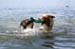 July 8th - Hirsala beach5