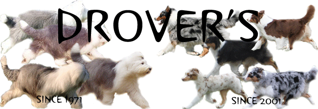 Drover's logo